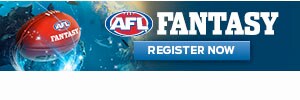 fantasy replace 300x100.jpg